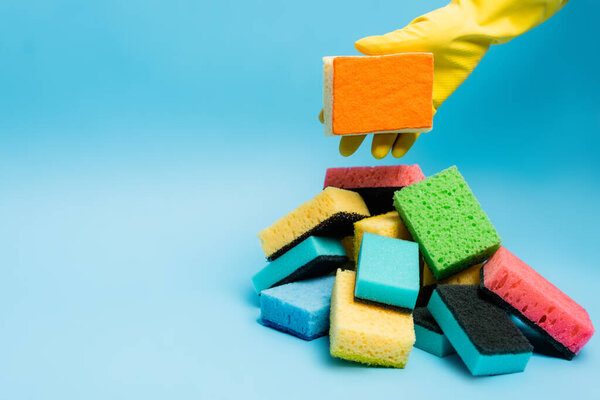 Cropped view of person in yellow rubber glove holding sponge near sponges on blue background