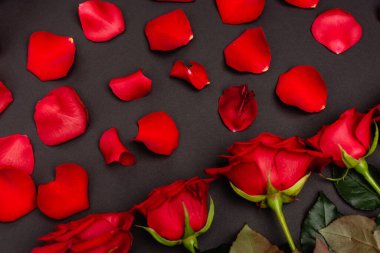 top view of rose petals isolated on black clipart
