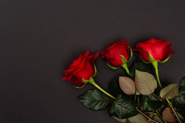 Vue Dessus Des Roses Rouges Isolées Sur Noir — Photo