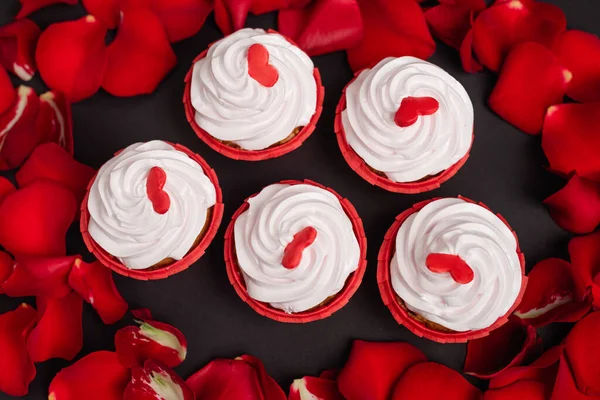 Top View Rose Petals Valentines Cupcakes Isolated Black — Stock Photo, Image