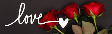 Aşkın yanındaki kırmızı güllerin üst görüntüsü. Siyah ve pankartta yazılı.