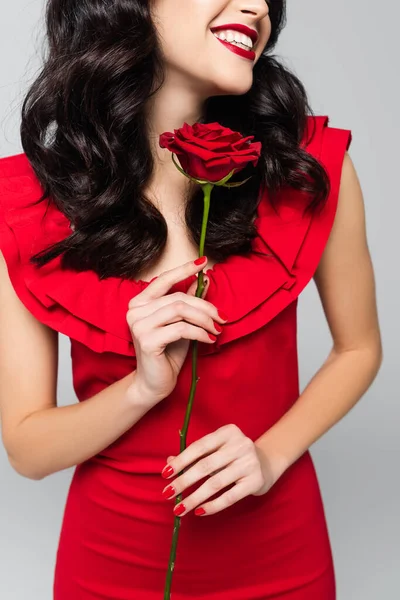 赤いバラを持った幸せな若い女性が灰色で孤立し — ストック写真