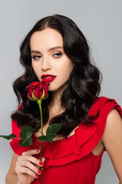 Красива Молода Жінка Тримає Червону Троянду Ізольовано Сірому — стокове фото