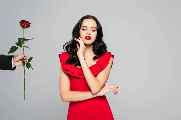 Man Holding Red Rose Brunette Woman Isolated Grey — Stock Photo, Image