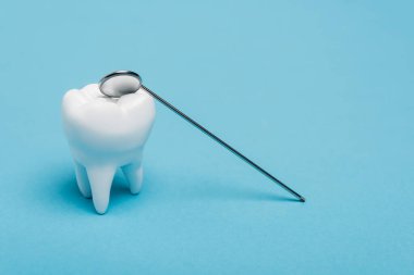 Tooth model and dental mirror on blue background clipart