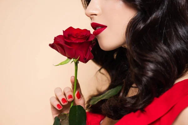 Cropped View Brunette Young Woman Red Lips Holding Rose Isolated — Stock Photo, Image