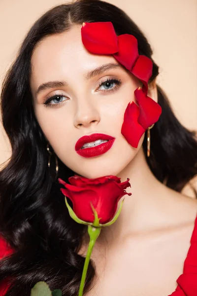 Brunette Young Woman Red Lips Petals Rose Face Isolated Pink — Stock Photo, Image
