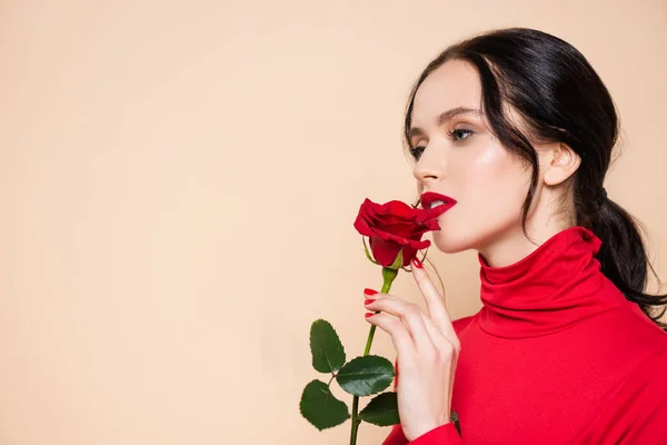 Sensual Mujer Con Labios Rojos Sosteniendo Rosa Roja Mirando Hacia — Foto de Stock