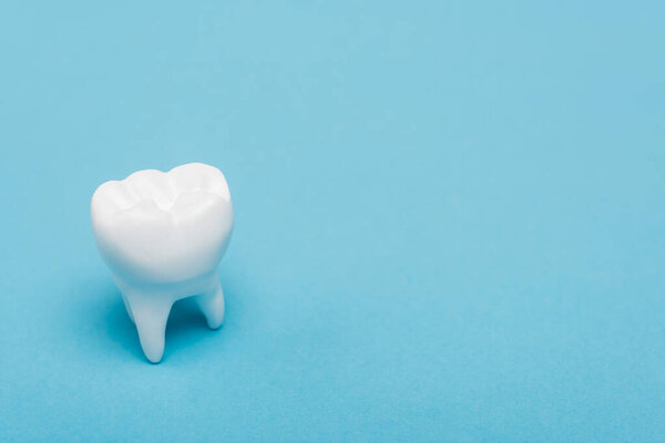 Close up view of model of white tooth on blue background