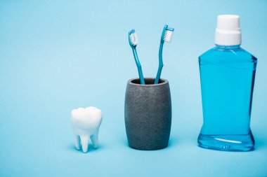 Diş fırçaları, diş modelleri ve mavi arka planda bir şişe gargara.