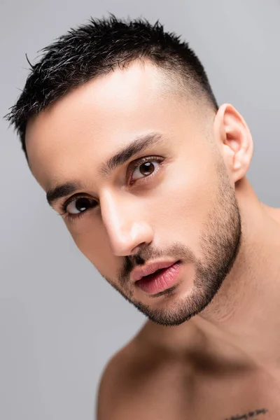 Portrait Brunette Hispanic Man Looking Camera Isolated Grey — Stock Photo, Image