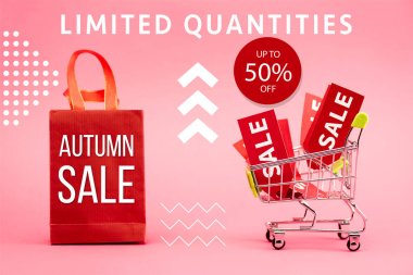 red tags with sale in shopping trolley near paper bag with autumn sale lettering on pink clipart