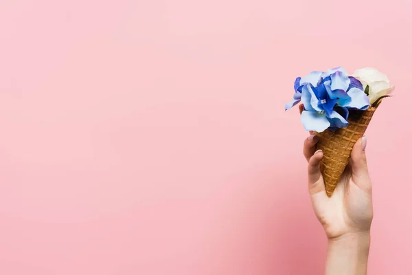Cropped View Woman Holding Waffle Cone Blue Flowers Isolated Pink — Stock Photo, Image