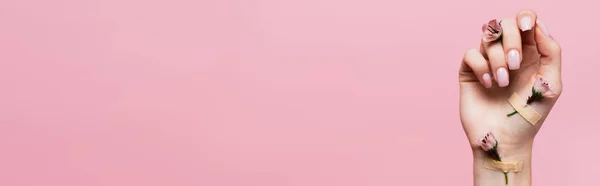 Штукатурки Цветами Женской Руке Изолированы Розовый Баннер — стоковое фото