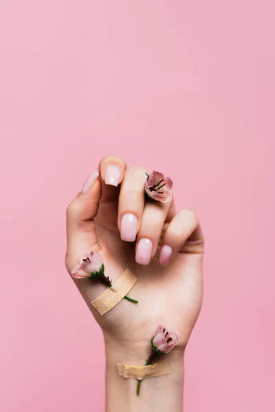 ピンク色に孤立した女性の手に花を持つバンドエイズ — ストック写真