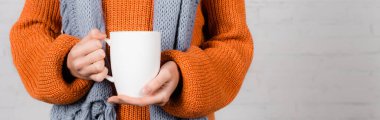 Cropped view of woman in warm sweater holding cup on white background, banner  clipart
