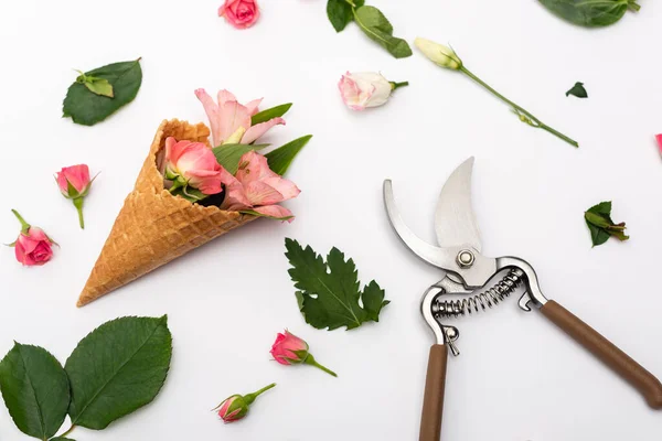 Top View Pink Flowers Waffle Cone Hand Pruners White — Stock Photo, Image