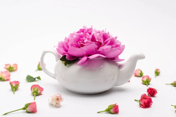 Pink Flower Porcelain Teapot Small Tea Roses White — Stock Photo, Image