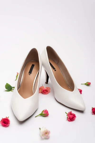 Chaussures Femme Près Roses Thé Rose Sur Blanc — Photo