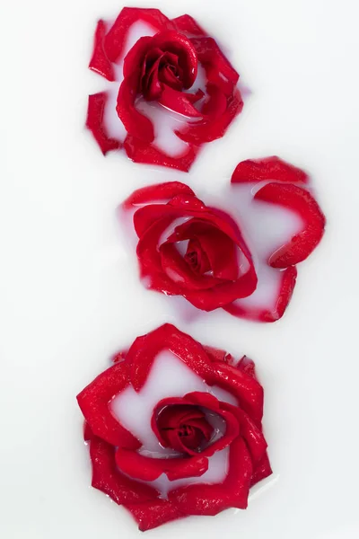 Draufsicht Auf Rote Rosen Milchigen Wasser — Stockfoto