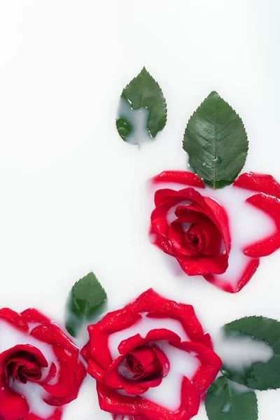 Vue Dessus Des Roses Rouges Des Feuilles Vertes Dans Eau — Photo