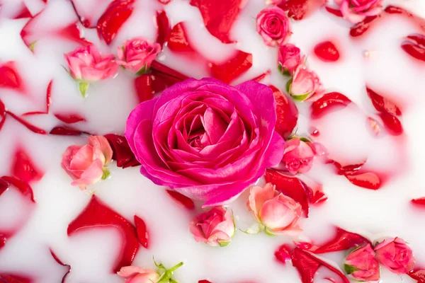 Draufsicht Auf Rosa Blume Der Nähe Von Rosen Milchigen Wasser — Stockfoto