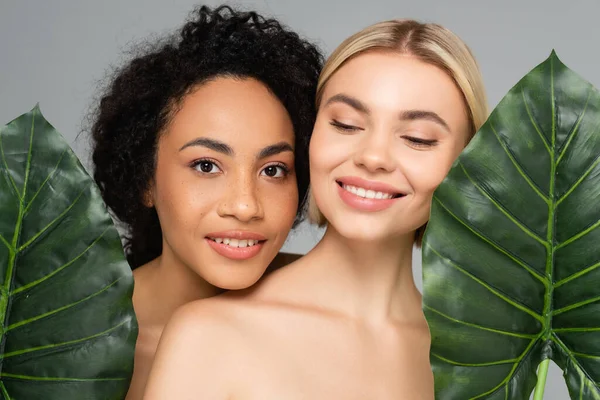 Multiethnic Women Naked Shoulders Holding Tropical Leaves Isolated Grey — Stock Photo, Image