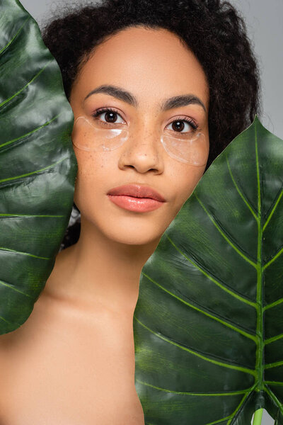 African american woman in eye patches looking at camera near green leaves isolated on grey 