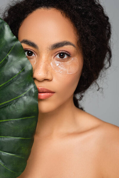 Young african american woman with naked shoulders and eye patches looking at camera near green leaf isolated on grey 