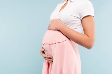 Mavi üzerine izole edilmiş hamile kadın göbeğine dokunuyor.