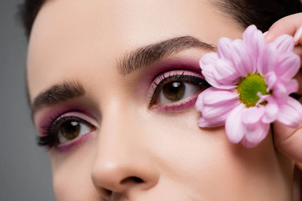 Close Sensual Woman Pink Eye Shadows Holding Flower Isolated Grey — Stock Photo, Image