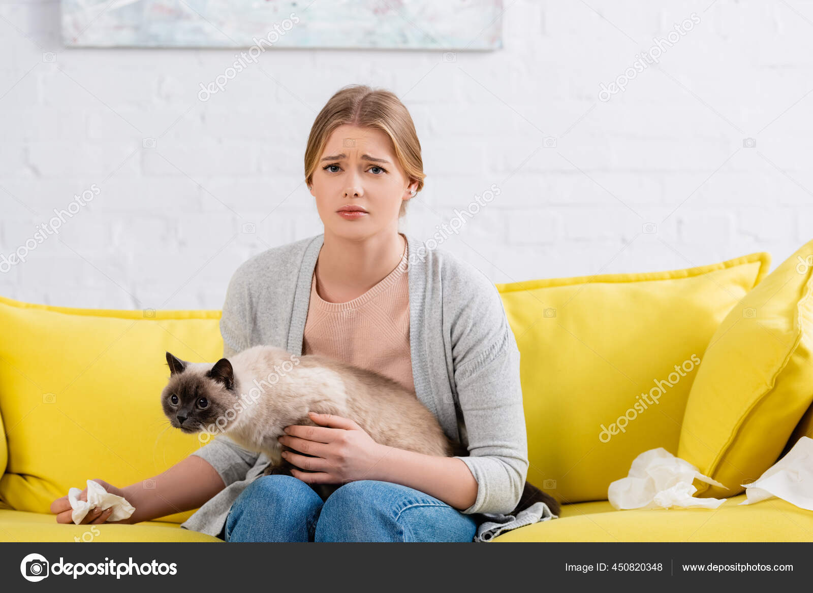 Chat Images Libres De Droit Photos De Chat Depositphotos Chat Images Libres De Droit Photos De Chat Depositphotos