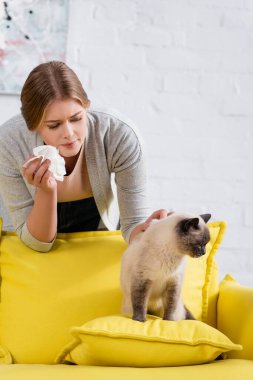 Siamese cat sitting on couch near woman with allergy reaction and napkin   clipart