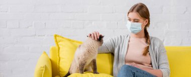 Woman in medical mask petting siamese cat during allergy at home, banner 