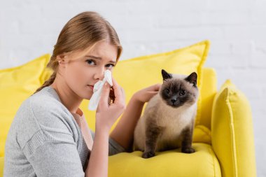 Young woman holding napkin during allergy snuffle near siamese cat on couch  clipart