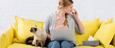 Freelancer sneezing near laptop and siamese cat on couch, banner 
