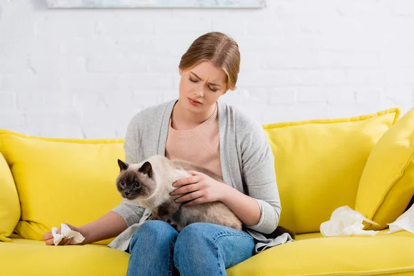 Mujer Con Alergia Sosteniendo Servilleta Siamés Gato Sofá — Foto de Stock