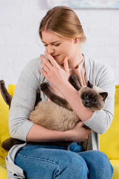 Mulher Com Alergia Coçar Nariz Segurando Gato — Fotografia de Stock