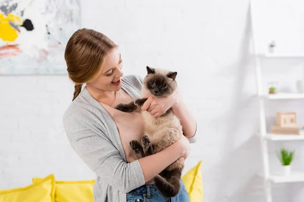 Cheerful Woman Holding Siamese Cat Home — Stock Photo, Image