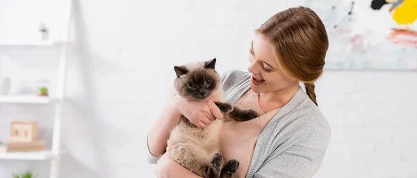 Young Woman Holding Siamese Cat Home Banner — Stock Photo, Image