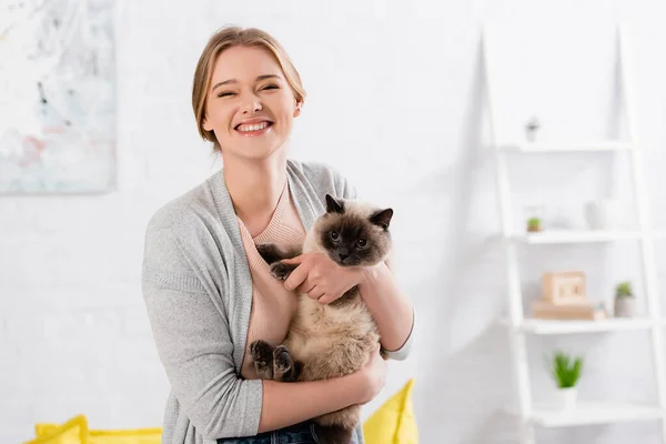Mulher Feliz Olhando Para Câmera Enquanto Segurando Gato Siamês — Fotografia de Stock