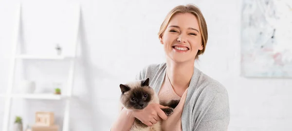 Positive Woman Holding Siamese Cat Home Banner — Fotografia de Stock