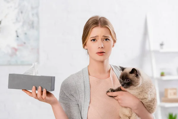 Displeased Woman Holding Box Napkin Siamese Cat Home — Stock Photo, Image