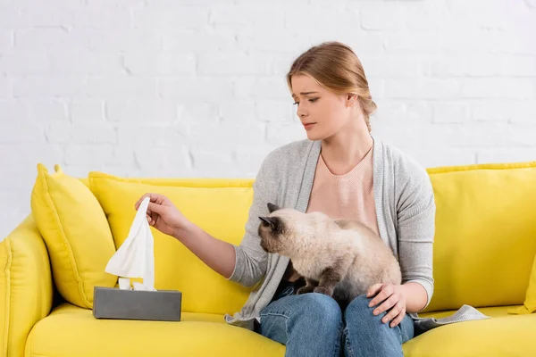Mulher Perturbada Tomando Guardanapo Durante Alergia Perto Gato Siamês — Fotografia de Stock