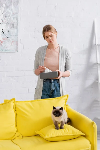 Sad Woman Holding Napkin Box Siamese Cat Couch — Stock Photo, Image