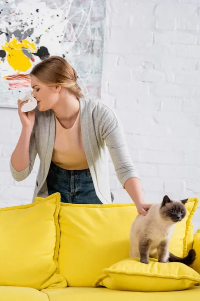 Young Woman Suffering Snuffle Siamese Cat Living Room — Stock Photo, Image
