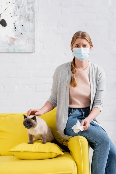 Mulher Perturbada Máscara Médica Segurando Guardanapo Durante Alergia Perto Gato — Fotografia de Stock