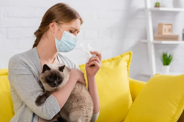 Woman Medical Mask Holding Napkin While Suffering Allergy Cat — Stock Photo, Image