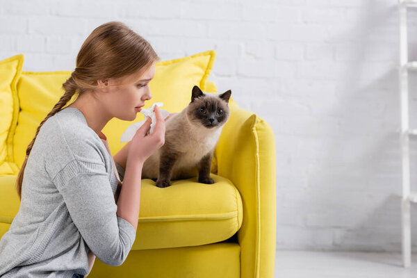 Side view of woman with napkin looking at siamese cat during allergy at home 