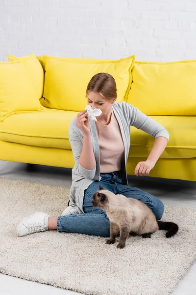 Woman Napkin Sneezing Allergy Furry Siamese Cat Carpet — Stock Photo, Image